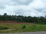 20057P1010908.JPG