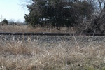 10131Field Survey 1 020.JPG