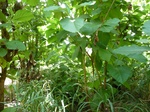 18254P1000090.JPG