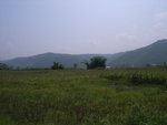 28199RIMG0188.JPG