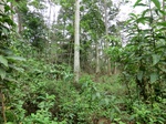 46010CIMG0299.JPG