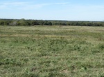 26335P1010447.JPG