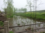 52106CIMG0079.JPG
