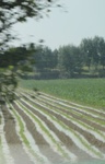 2024-08-05_14-43-48_E6D66BC3-D402-48E3-8C2B-52D48769584C_1_201_a.jpeg