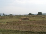 1685502052008(15).JPG