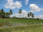 31181CIMG1043.JPG