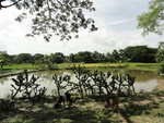 26053DSC00474.JPG