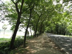 24547DSC00748.JPG