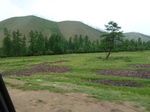 23852P1040940.JPG