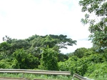 25755P1020174.JPG