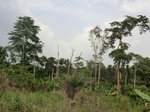 49797CIMG6134.JPG