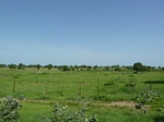 19480P1010327.JPG