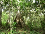 48023CIMG4360.JPG