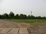 50605CIMG1234.JPG