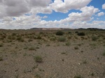 36790CIMG0560.JPG