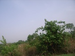 3795RIMG0099.JPG