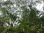 48067CIMG4404.JPG