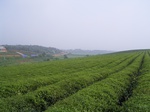 505R0015051.jpg