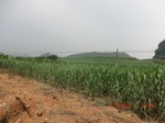 33048CIMG2282.JPG