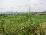 53926CIMG3667.JPG