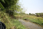 43664pic2.jpg