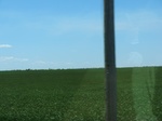29995CIMG0686.JPG