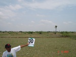 13109030b-irrigated-supplemental-tank-rice-single-crop.gif