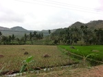 31676CIMG1544.JPG
