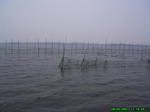 7522007-08-05_11-16-45_tag.jpg