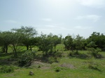19282P1010128.JPG