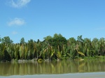 54679Bulungan (174).JPG