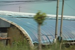 2024-08-05_14-06-52_028D63B0-1B3C-400C-92CB-83CB4119A84C.jpeg