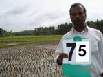 6355075a-wetzone-rainfed-agriculture-rice-valley-bottom-double-crop.jpg