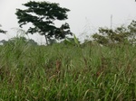 50355CIMG0984.JPG