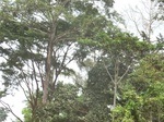 48315CIMG4652.JPG