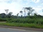 20183P1020035.JPG