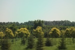 2024-08-05_13-59-45_920EE5B3-2557-41D1-AE20-A9EEF51C4948.jpeg