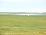 37950CIMG1758.JPG