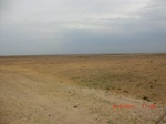 29806CIMG1187.JPG
