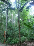 2024-11-29_05-41-59_CIMG3096.JPG