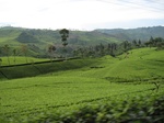 13668IMG_3929.JPG