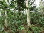 46047CIMG0336.JPG