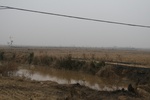 8544IMG_0530.JPG