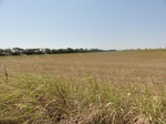 34987DSC01889.JPG