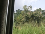 49810CIMG6147.JPG