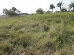 26652DSC00576.JPG