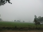 40267CIMG9286.JPG