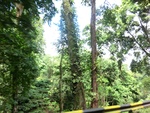 31150CIMG1012.JPG