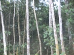 48586CIMG4923.JPG