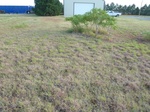 39187CHER20110818N.JPG